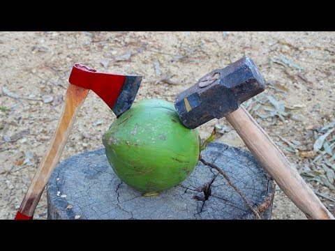Experiment Coconut Fruit With Hammer & Axe Cutting