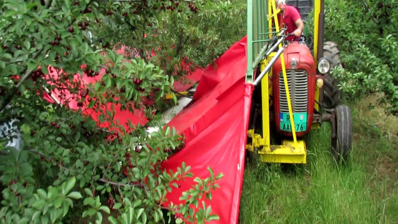 BERAČ ZA VIŠNJE, ŠLJIVE I MASLINE SUPERIOR / Harvesting machine for plums, cherries, olives