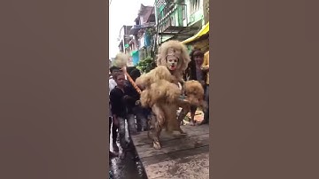 Chandan Nagar ki Sher