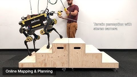 Robust Rough-Terrain Locomotion with a Quadrupedal Robot (ANYmal)