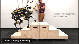 Robust Rough-Terrain Locomotion with a Quadrupedal Robot (ANYmal)