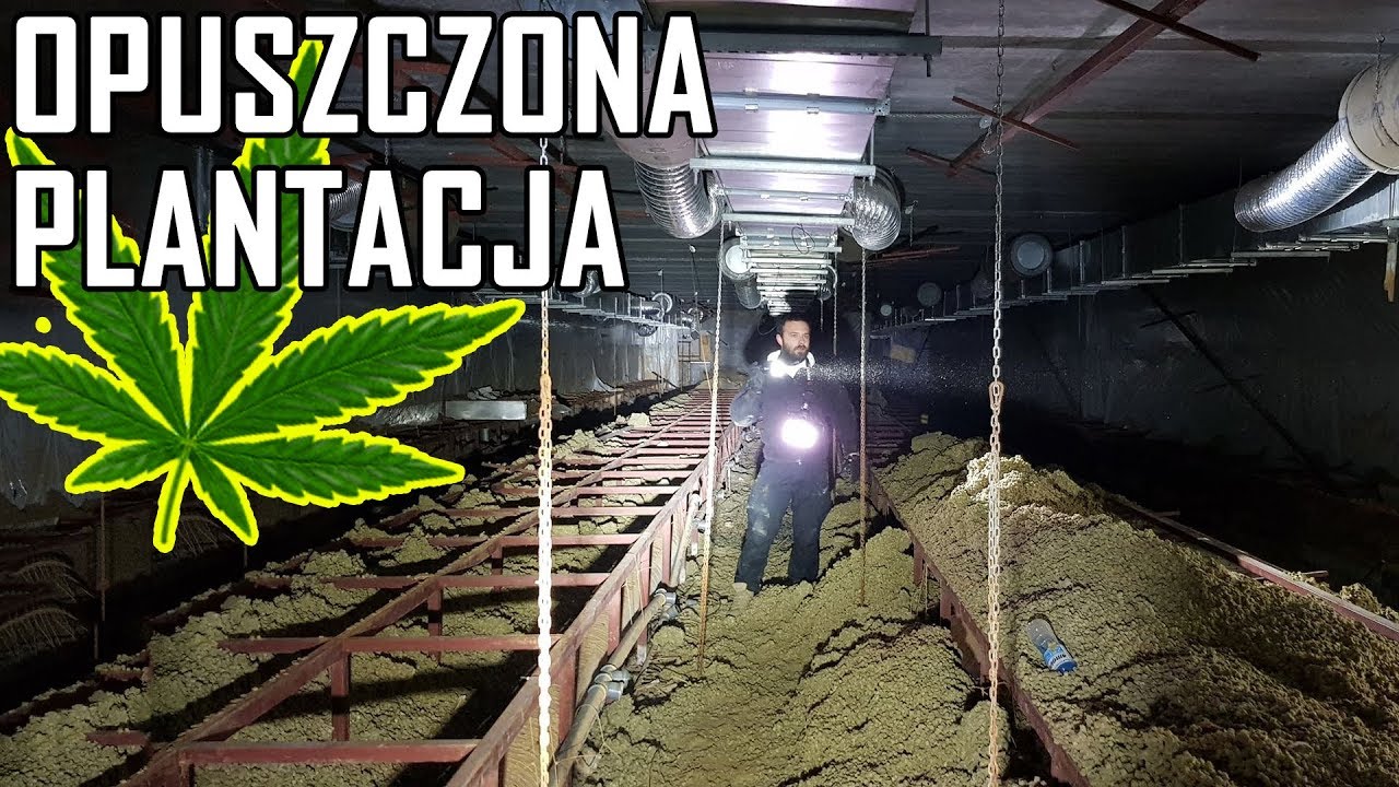 Opuszczona fabryka narkotyków *największa w Polsce* - Urbex History