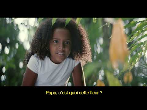 Orange, réseau mobile numéro 1 aux Antilles-Guyane #4GXperience