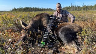Newfoundland Moose Hunt 2 - September 2020