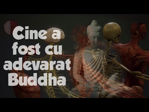 Video: Care este semnificația unui Buddha?