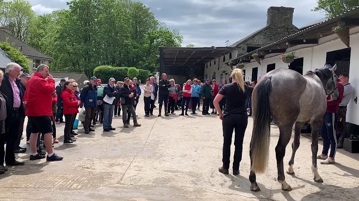 Eugene O'Sullivan, Open Morning