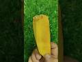 Mango furit &amp; small gems lollipop #satisfyling #entertainment #viral #candyopening #candy #candys