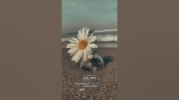 تلاوة القرآن الكريم _ سورة الرعد الأيه (22)🎧🌱