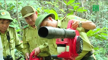 Nắng nóng kéo dài, miền Trung đối mặt nguy cơ cháy rừng | VTC14