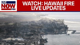 Maui fires: Death toll rises to 80 as hundreds remain displaced | LiveNOW from FOX