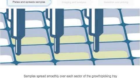 Colony pickers   QPix colony picking; bacterial colonies, yeast colony