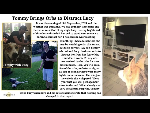 Tommy Brings Orbs to Distract Lucy