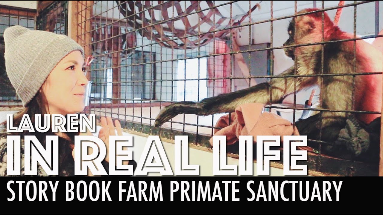 STORY BOOK FARM PRIMATE SANCTUARY | Lauren In Real Life