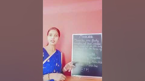 Class -5-Science- Chapter- 3- Skeletal and Muscular system