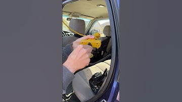 Thumbnail of Ozone Generator vs. Old Smelly Car 💩👃🚙