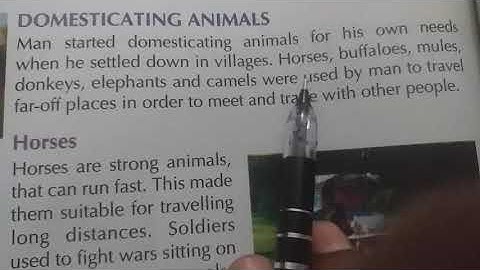 4th EVS ch-12 Animals for transport (part1)