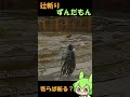 【エルデンリング】寄らば斬る?【辻斬りずんだもんの闘技場動画】#2 #Shorts #エルデンリング #ELDENRING #ずんだもん #ずんだもん実況 #ずんだもん