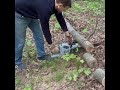 Cutting Up a Fallen Tree for Firewood