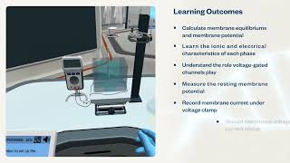 Action Potential Lab Experiment With A Squid Neuron Virtual Lab