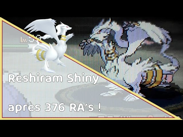 LIVE! Shiny Zekrom after 3168 RAs!!! Pokemon White (Shiny Lock Removal) 