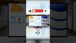 Understanding the Domain Name System DNS | How to fix DNS errors in WordPress Hosting | Guide 2024