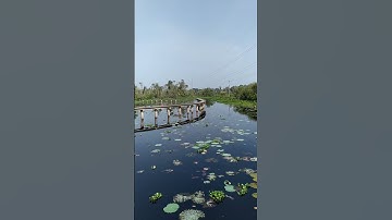 Xuyên Việt Tết 2020 - đến Long An ngày 3/2/2020