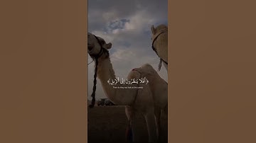 سورة الغاشية   بصوت   رزكار ابن أحمد سندى