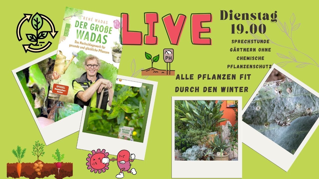 Sprechstunde fr gesunde Pflanzen