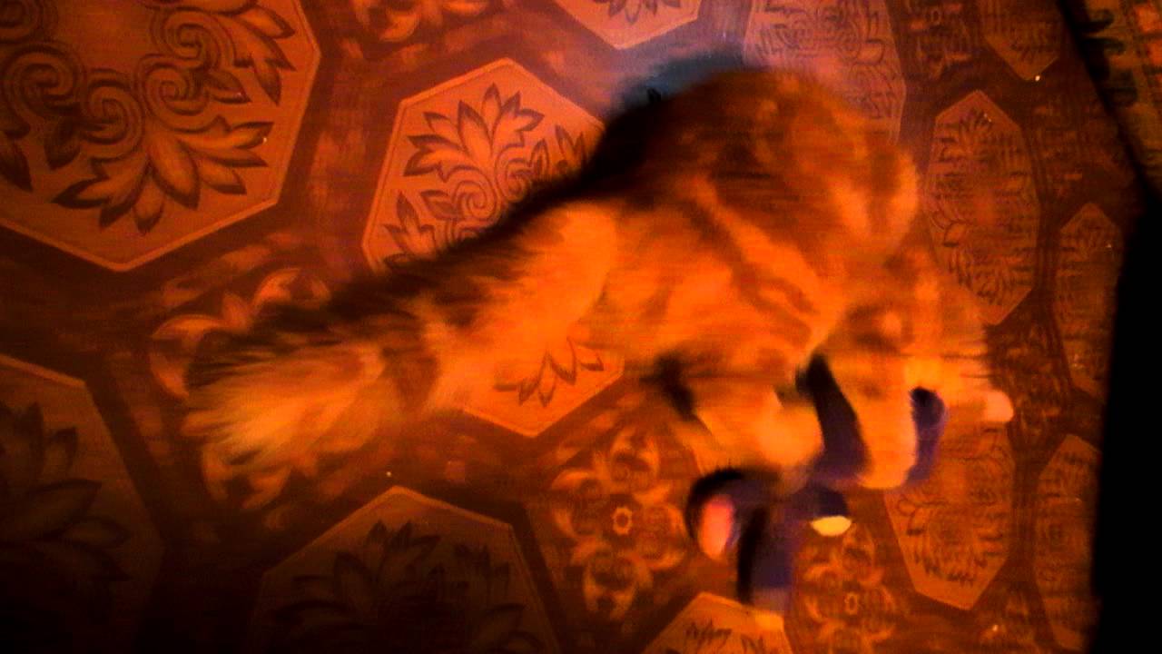 Эльза - YouTube