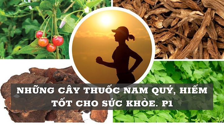 Top 10 loài cây thuốc quý hiếm nhất năm 2024