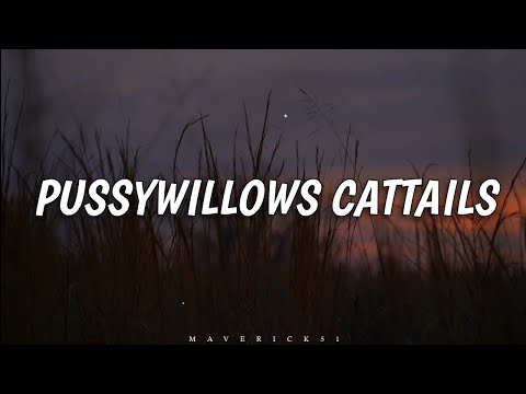 Pussywillows Cattails (LYRICS) by Kenny Rankin ♪