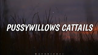 Pussywillows Cattails (LYRICS) by Kenny Rankin βͺ