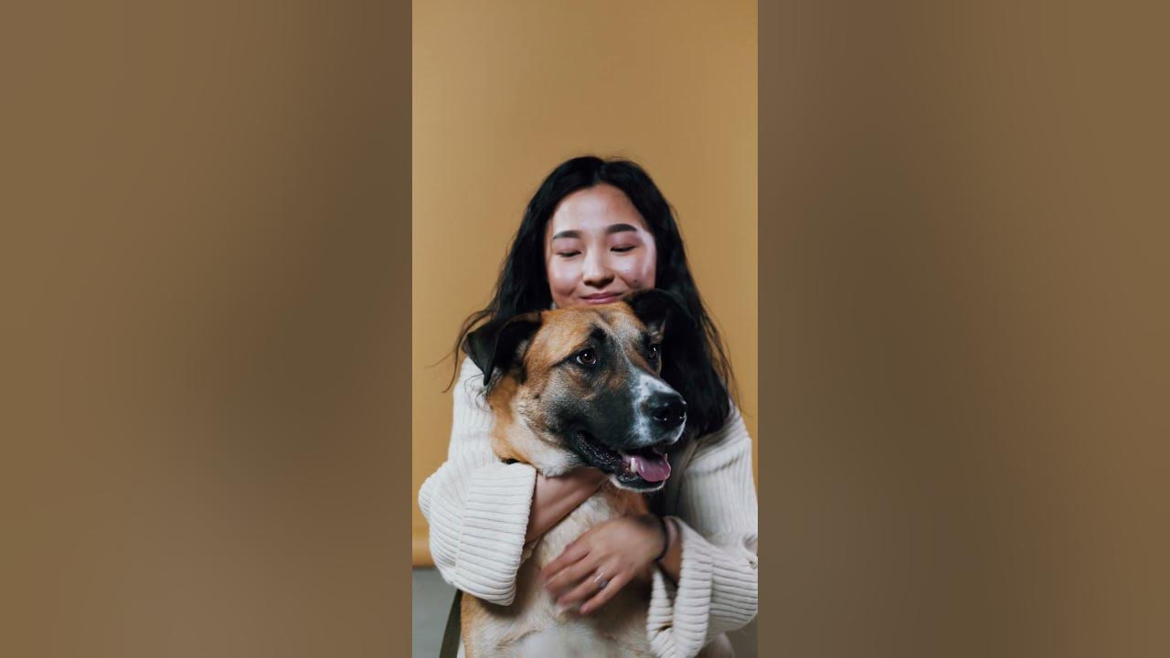 my-girlfriend-loves-her-dog-more-than-me-shorts-dog-youtube