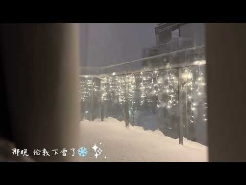 Emi‘s Vlog Ep.3/ 圣诞前 伦敦最冷的一周 森林里的大秋千 安装新床🛏️