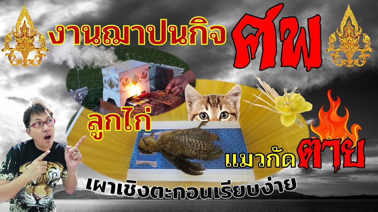งานฌาปนกิจศพสัตว์  ลูกไก่  แมวกัดตาย  เผาแบบเชิงตะกอนเรียบง่าย