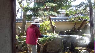 DSCF7788