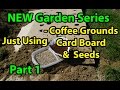 Coffee Grounds, Cardboard & Seeds - No Till Vegetables Gardening Series for Beginners -  101 Pt 1