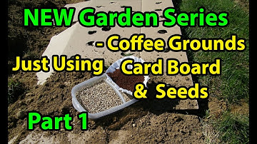 Coffee Grounds, Cardboard & Seeds - No Till Vegetables Gardening Series for Beginners -  101 Pt 1