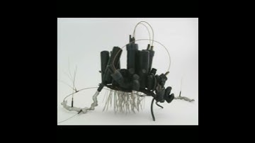 Kinetic Sculpture - Genera Nucleation