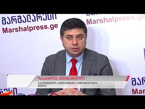 საპარლამენტო უმრავლესობის წევრის ზაქარია ქუცნაშვილის პრესკონფერენცია