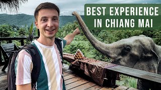 Elephant Experience in Chiang Mai  Chai Lai Orchid