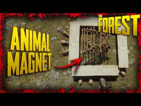 Video: How To Be In The Forest With Animals