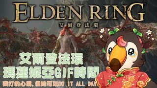 【直播】【遊戲】艾爾登法環|瑪蓮妮亞GIF時間~我打的心累但她可以DO IT ALL DAY【菜姬】