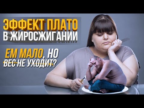 Почему вес стоит на месте? ЭФФЕКТ ПЛАТО