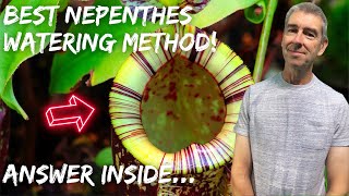 What's the Best Nepenthes Watering Method? What you need to know...