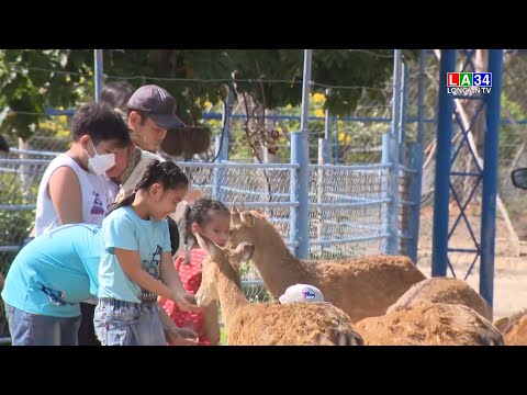 Video Vườn thú Mỹ Quỳnh - Điểm sáng thị trường du lịch |... - youtube