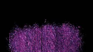 icvJuxtU01v1pbv1bv1tx1lt1lt2rd1mv1ex1