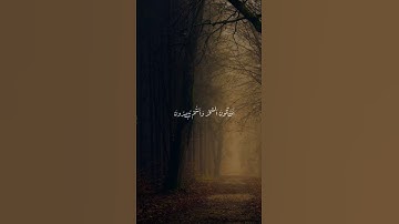 بمقام البيات ما تيسر من سورة الأنبياء | بصوت الشيخ محمد صديق المنشاوي 🎧