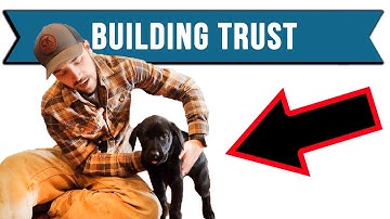 How To Build A Better Relationship With Your Dog