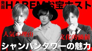 【HAREM】ホストがシャンパンタワーをやる理由とは!?カリスマ達が徹底解説【発掘 HAREMお宝ホスト】